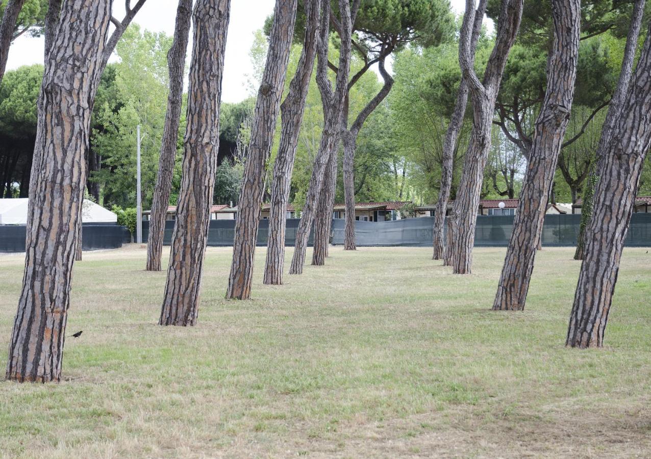 מלון מרינה די מסה Casa Per Ferie Il Pioppo מראה חיצוני תמונה
