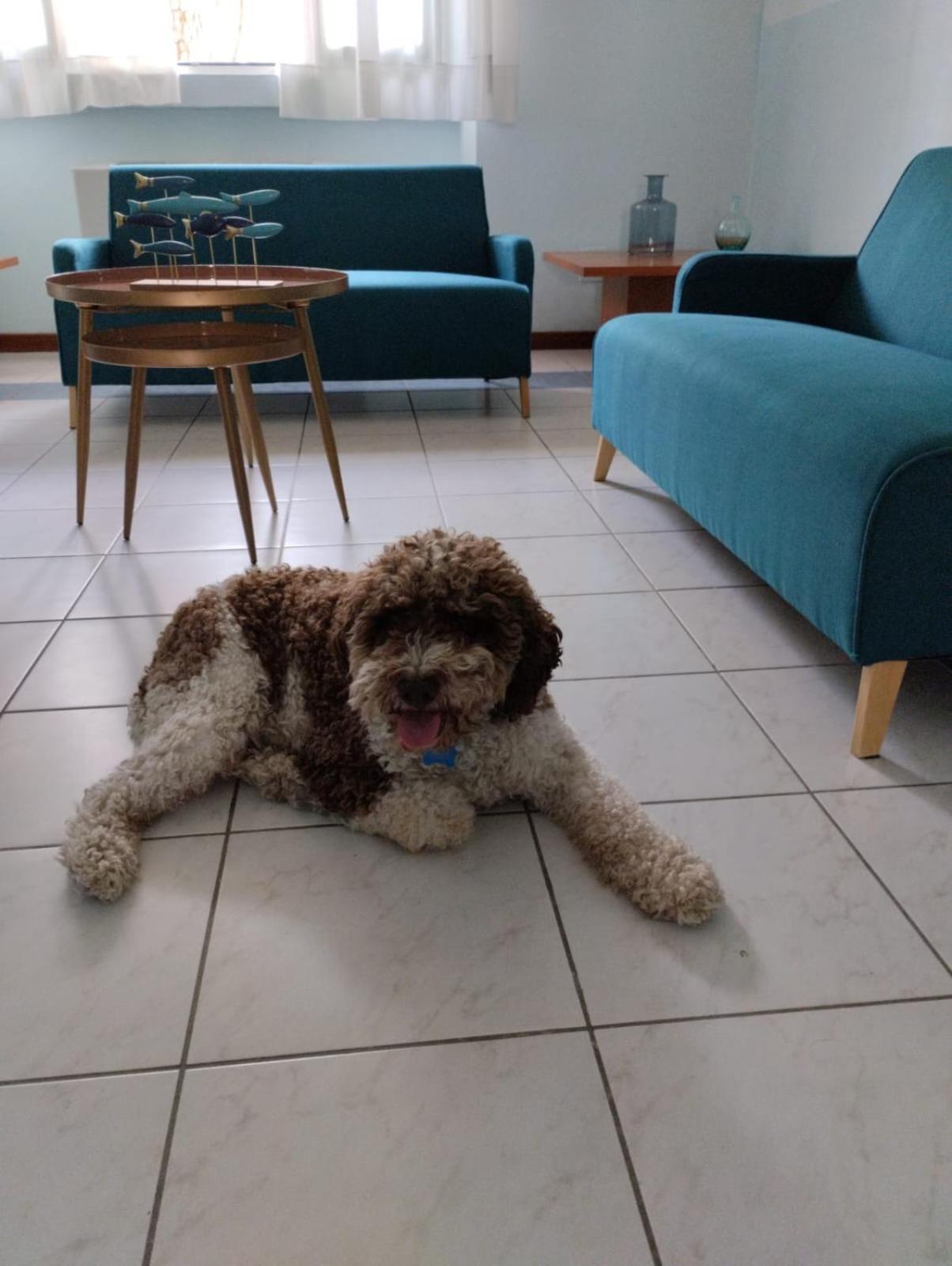 מלון מרינה די מסה Casa Per Ferie Il Pioppo מראה חיצוני תמונה